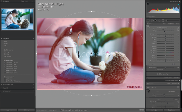Anwendung Filter Lightroom Schritt 2